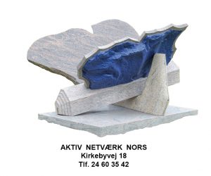 Aktiv Netværk program